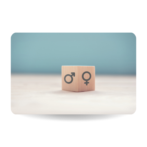 Gender equality concept, Wood cube with male equals female symbol on blue background.