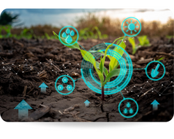 There is a land with agricultural crops and with an infographic about agriculture