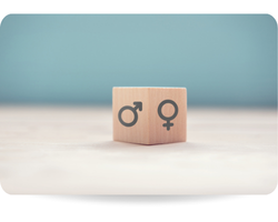 Gender equality concept, Wood cube with male equals female symbol on blue background.